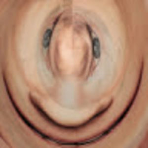 Meet your Posher, Hsiang-hsi